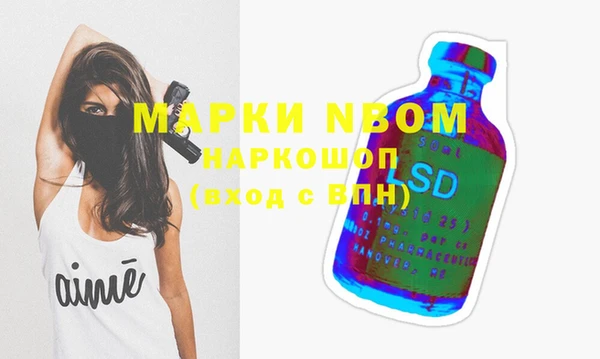крисы Майский