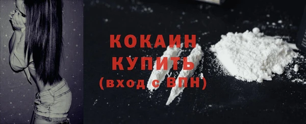 прущие грибы Медногорск