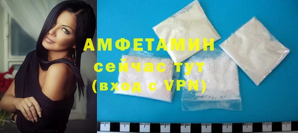 прущие грибы Медногорск