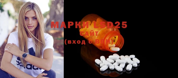 прущие грибы Медногорск