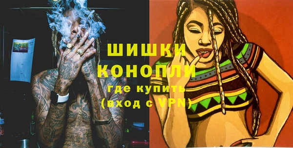прущие грибы Медногорск