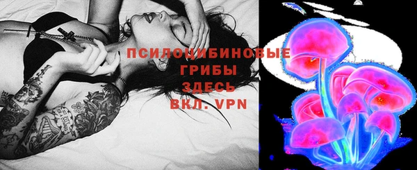 прущие грибы Медногорск