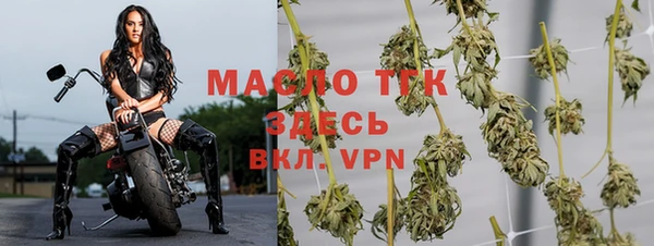 прущие грибы Медногорск