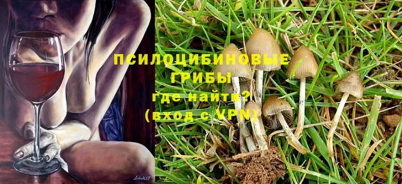 Псилоцибиновые грибы Magic Shrooms  Нарьян-Мар 