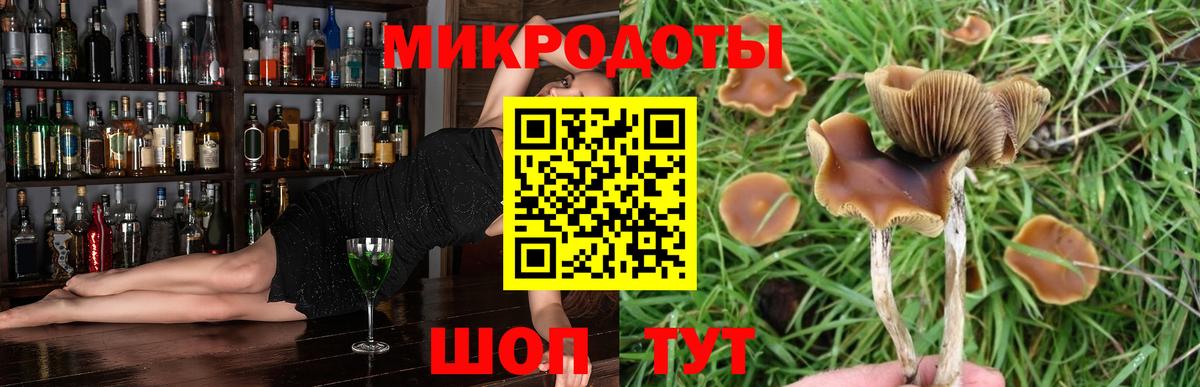 Галлюциногенные грибы мицелий Нарьян-Мар